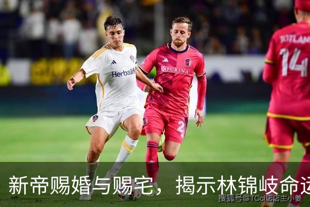 新帝赐婚与赐宅，揭示林锦岐命运背后的冷酷算计