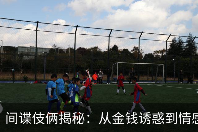 间谍伎俩揭秘：从金钱诱惑到情感操控的深度剖析